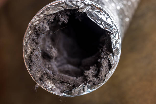 Best Local Air Duct Cleaning Services  in Toast, NC